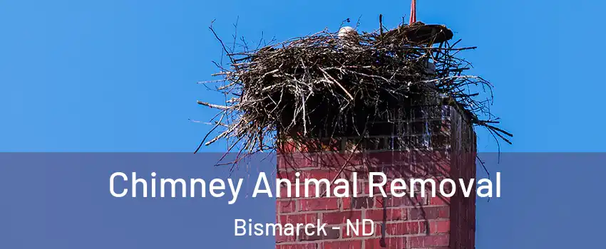 Chimney Animal Removal Bismarck - ND