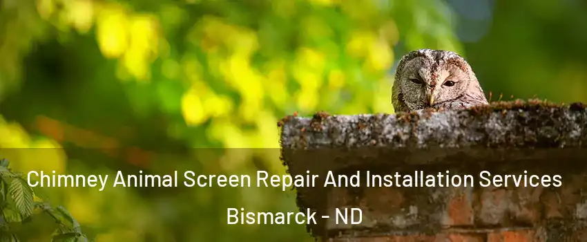  Chimney Animal Screen Repair And Installation Services Bismarck - ND