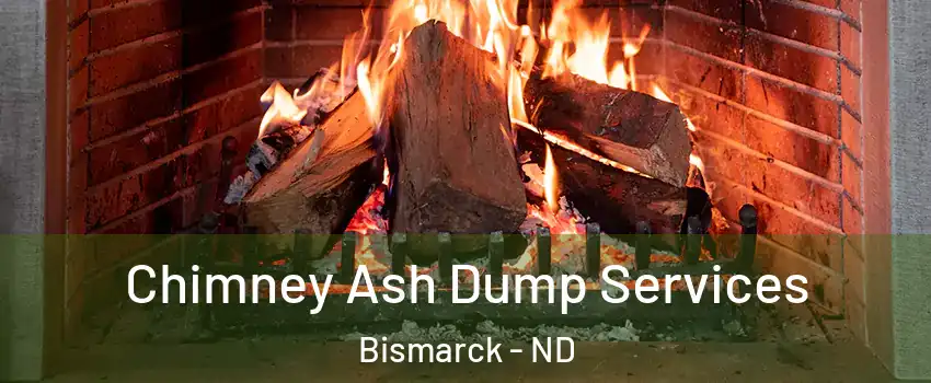 Chimney Ash Dump Services Bismarck - ND
