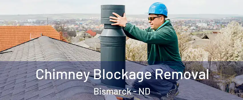  Chimney Blockage Removal Bismarck - ND