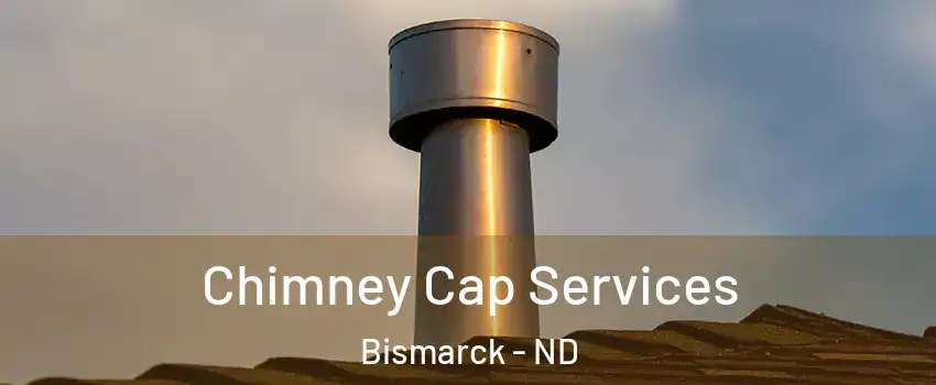  Chimney Cap Services Bismarck - ND
