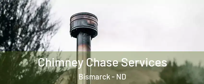  Chimney Chase Services Bismarck - ND