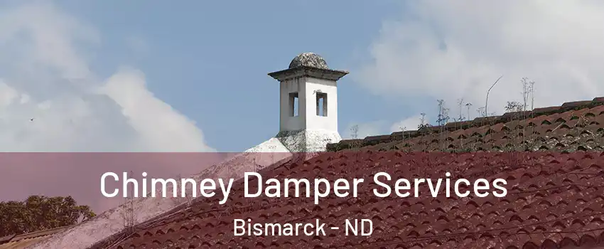  Chimney Damper Services Bismarck - ND