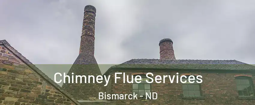  Chimney Flue Services Bismarck - ND