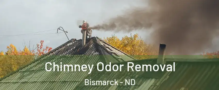  Chimney Odor Removal Bismarck - ND