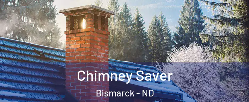  Chimney Saver Bismarck - ND