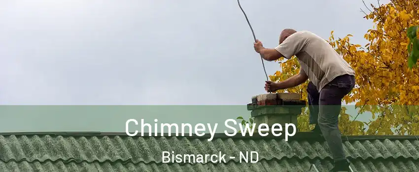  Chimney Sweep Bismarck - ND