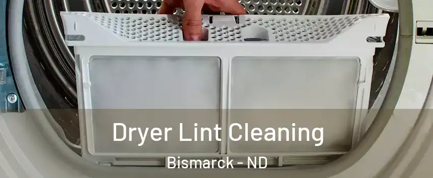 Dryer Lint Cleaning Bismarck - ND