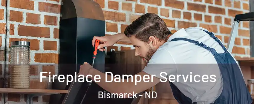  Fireplace Damper Services Bismarck - ND