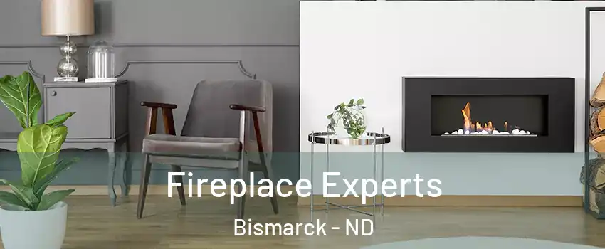  Fireplace Experts Bismarck - ND