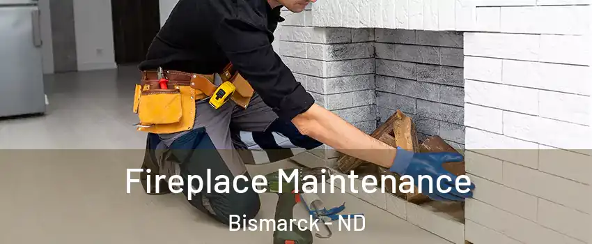  Fireplace Maintenance Bismarck - ND
