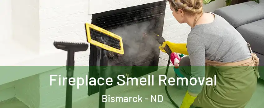  Fireplace Smell Removal Bismarck - ND