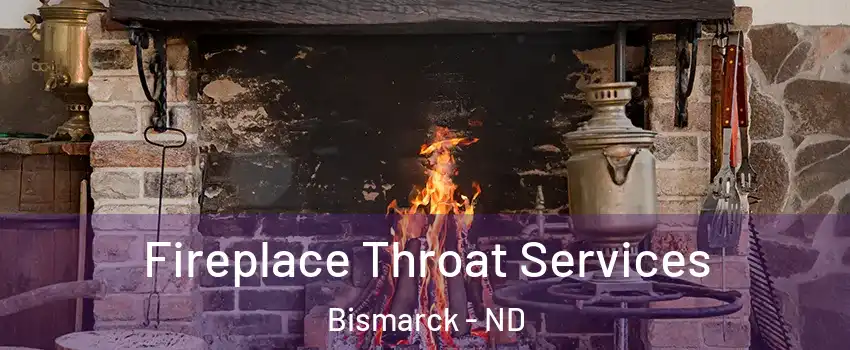  Fireplace Throat Services Bismarck - ND