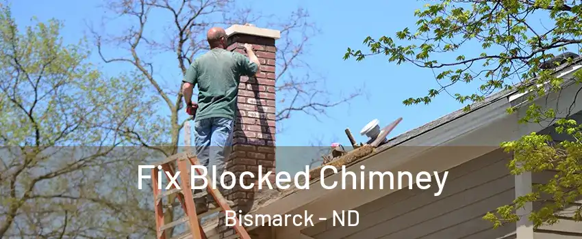  Fix Blocked Chimney Bismarck - ND