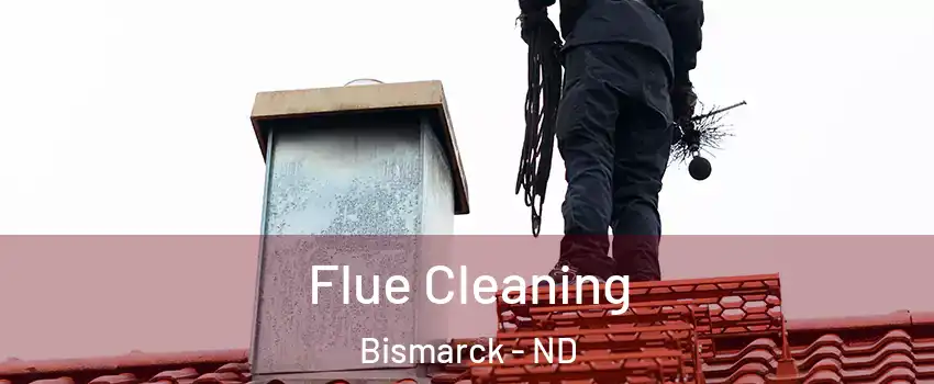  Flue Cleaning Bismarck - ND