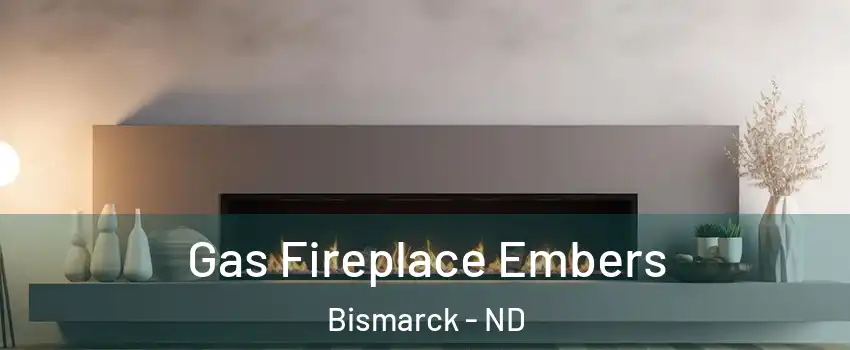  Gas Fireplace Embers Bismarck - ND