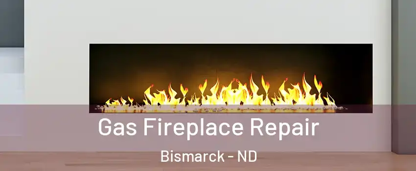  Gas Fireplace Repair Bismarck - ND