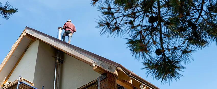Birds Removal Contractors from Chimney in Bismarck, ND