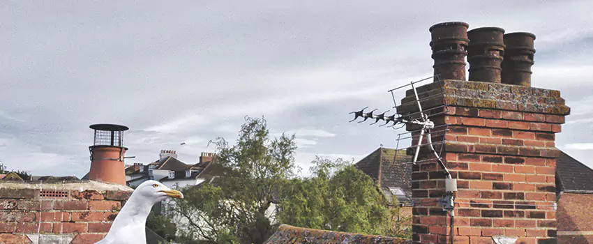Chimney Cleaning And Restoration in Bismarck, North Dakota
