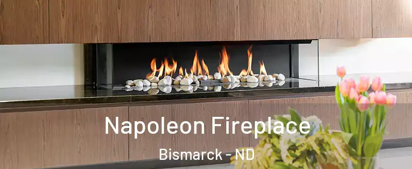  Napoleon Fireplace Bismarck - ND