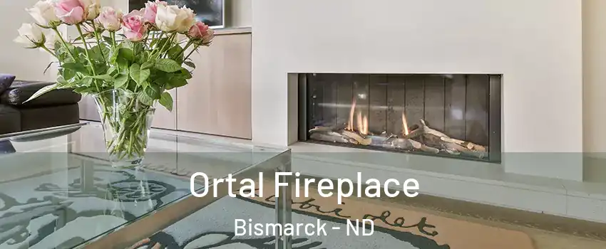 Ortal Fireplace Bismarck - ND